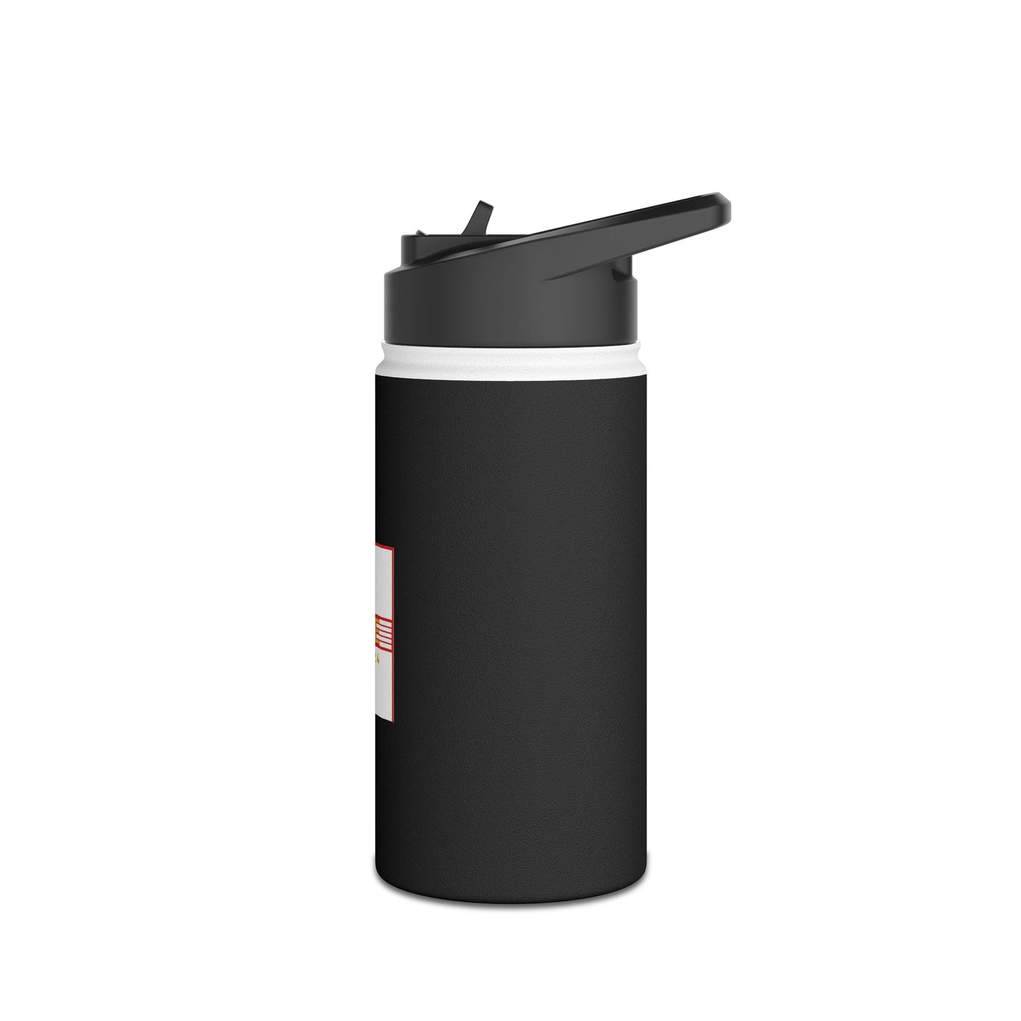 Stainless Steel Water Bottle, Standard Lid